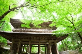 〇〇の様子
