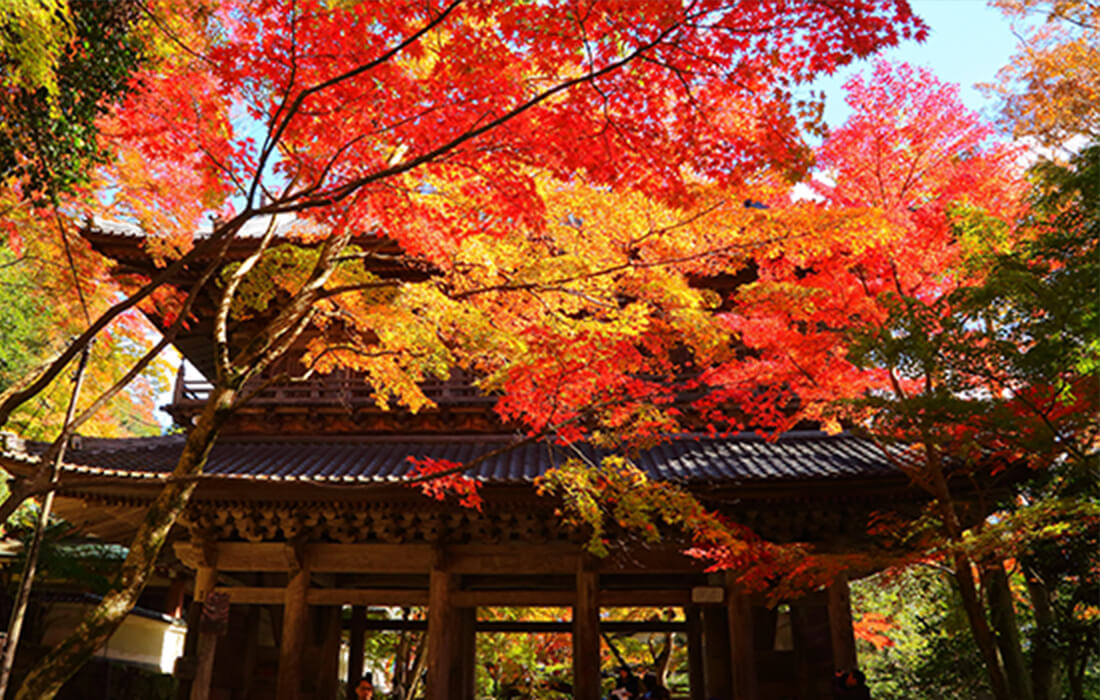 大本山永源寺