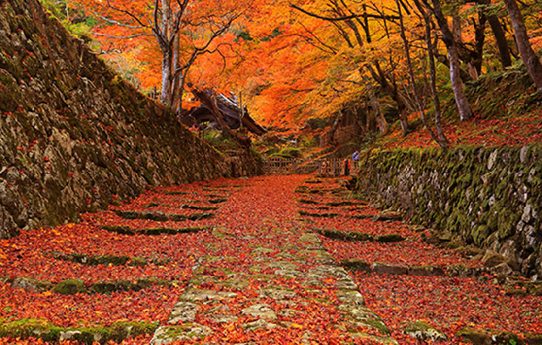 百済寺