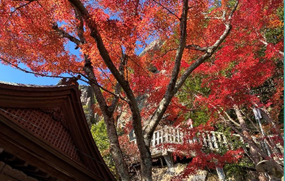 太郎坊宮 阿賀神社