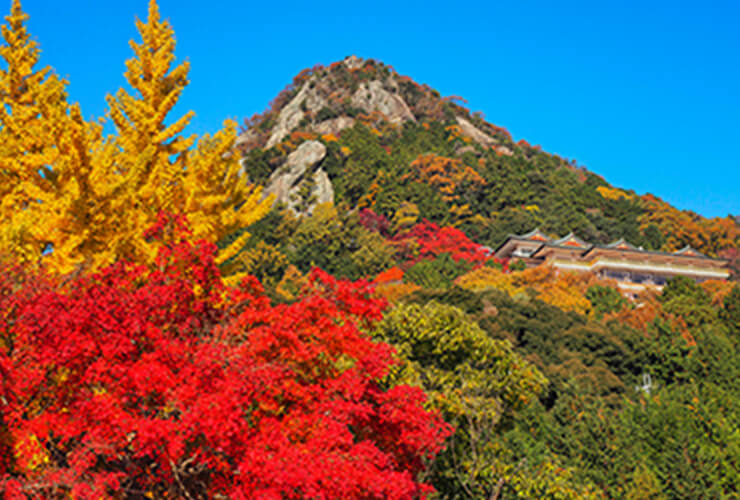 太郎坊宮 阿賀神社